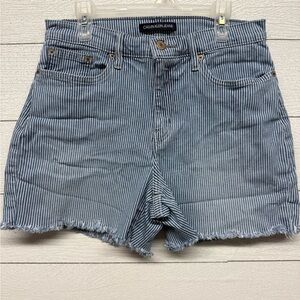 Calvin Klein Jeans Blue and White Striped Shorts